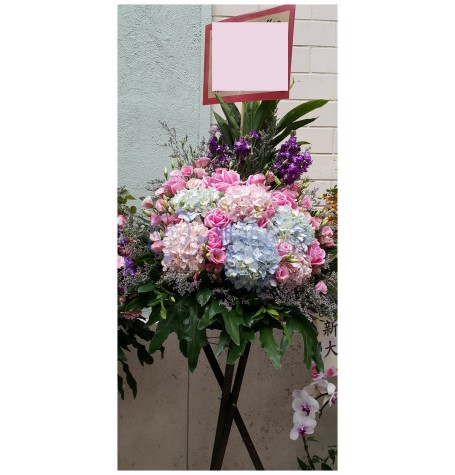 CBF-016